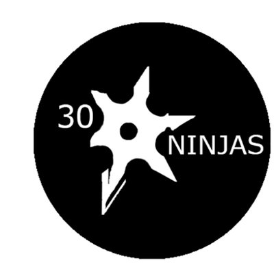 20 Ninjas logo